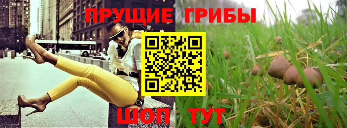Мелеуз  где найти   Вход с VPN  Псилоцибиновые грибы GOLDEN TEACHER 